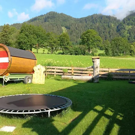 Almliesl Gold-628 Hébergement de vacances Goldegg